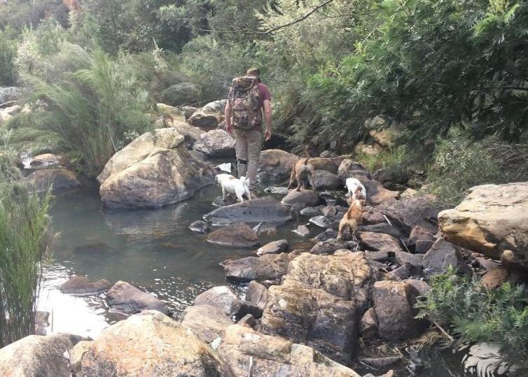 Eagle Falls Country & Adventures Buffelsdrif