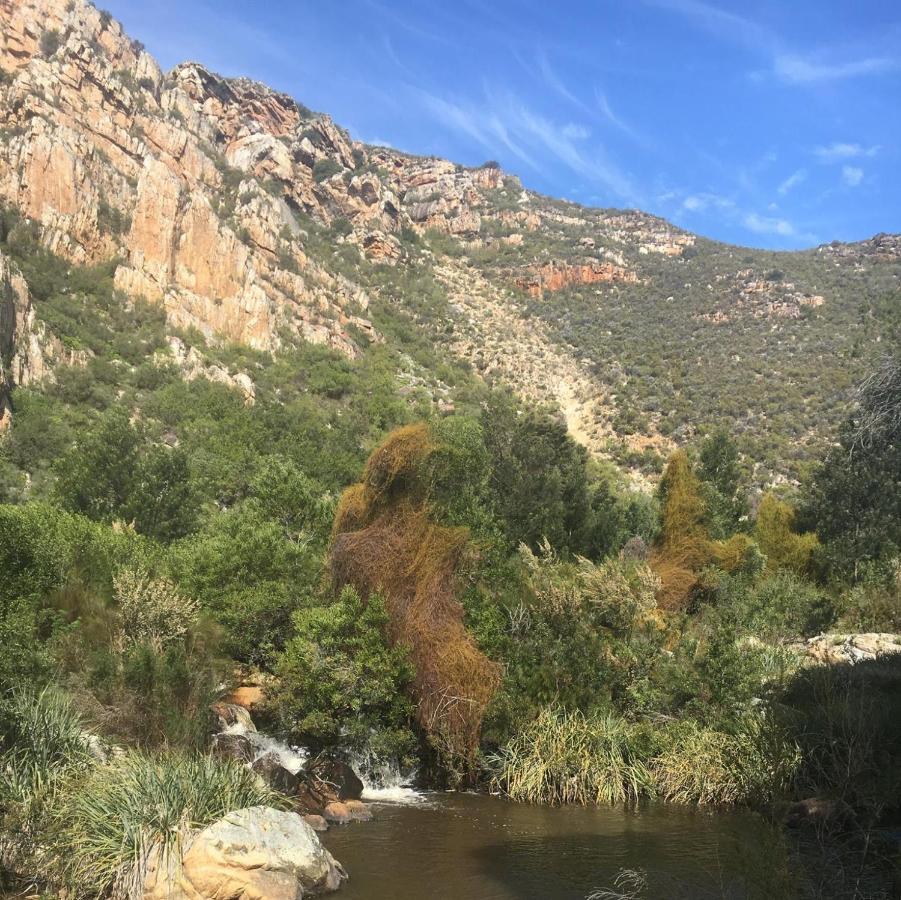 Eagle Falls Country & Adventures Lodge