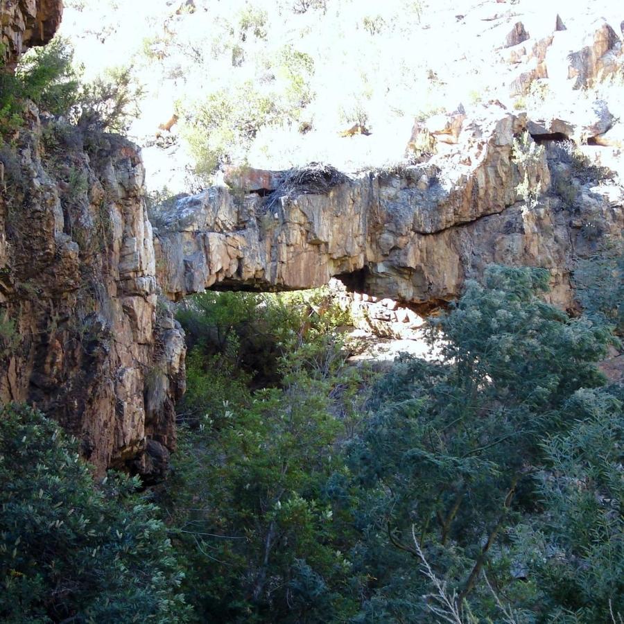 Eagle Falls Country & Adventures Lodge
